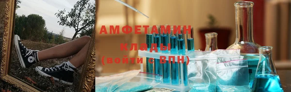 ГАЛЛЮЦИНОГЕННЫЕ ГРИБЫ Богданович